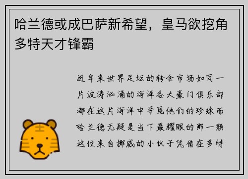 哈兰德或成巴萨新希望，皇马欲挖角多特天才锋霸