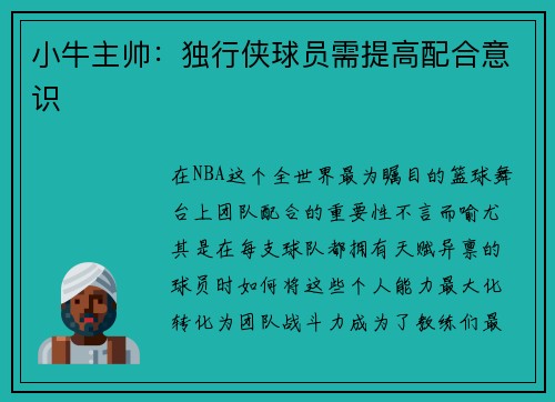 小牛主帅：独行侠球员需提高配合意识