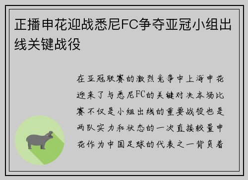 正播申花迎战悉尼FC争夺亚冠小组出线关键战役